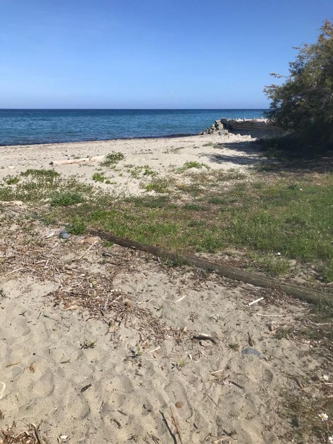 Corsica Studio Face A La Mer Moriani Plage Διαμέρισμα San-Nicolao Εξωτερικό φωτογραφία